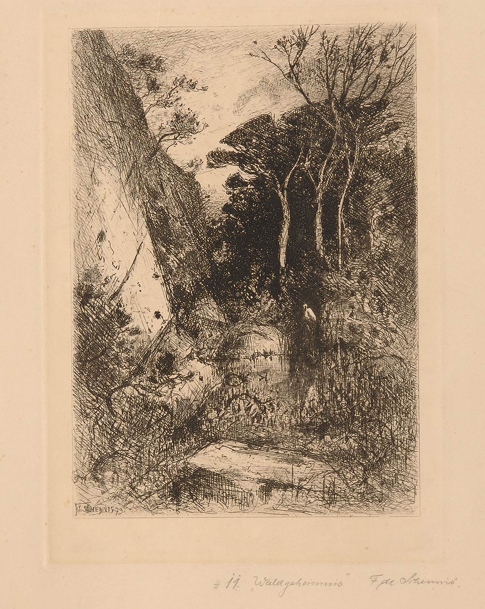 Waldgeheimnis